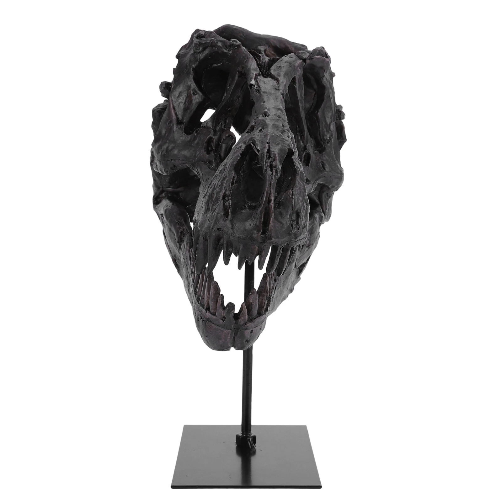 Dinosaur Fossil Figurine Resin Replica Head Sculptures with Bracket Skull Sculpt - Image 4