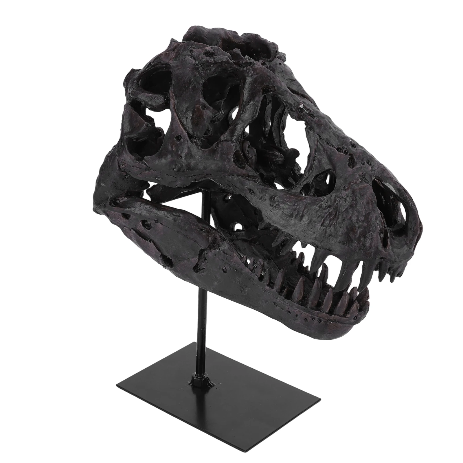 Dinosaur Fossil Figurine Resin Replica Head Sculptures with Bracket Skull Sculpt - Image 6