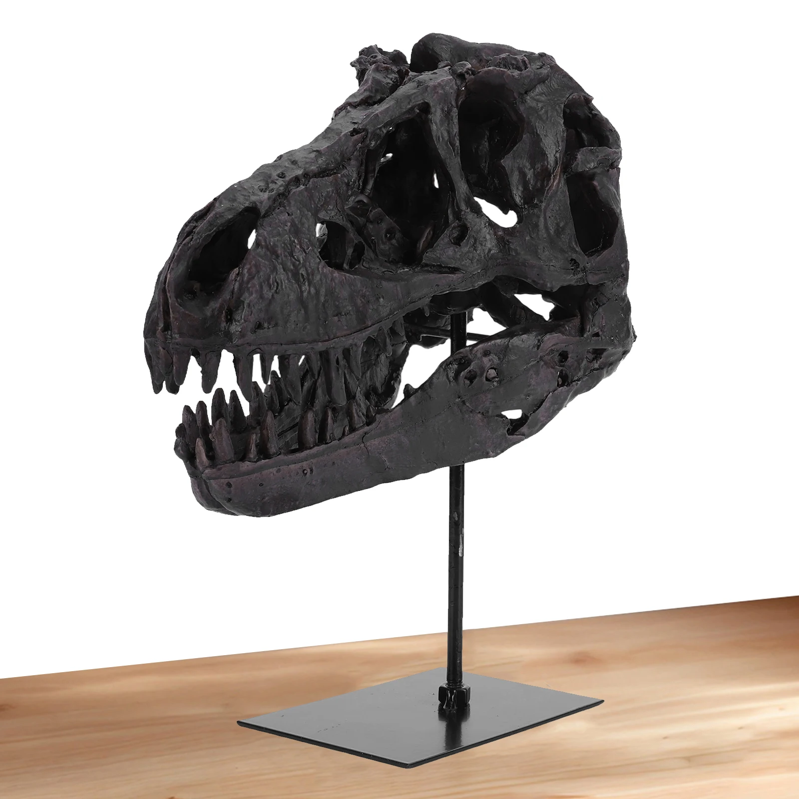 Dinosaur Fossil Figurine Resin Replica Head Sculptures with Bracket Skull Sculpt - Image 3