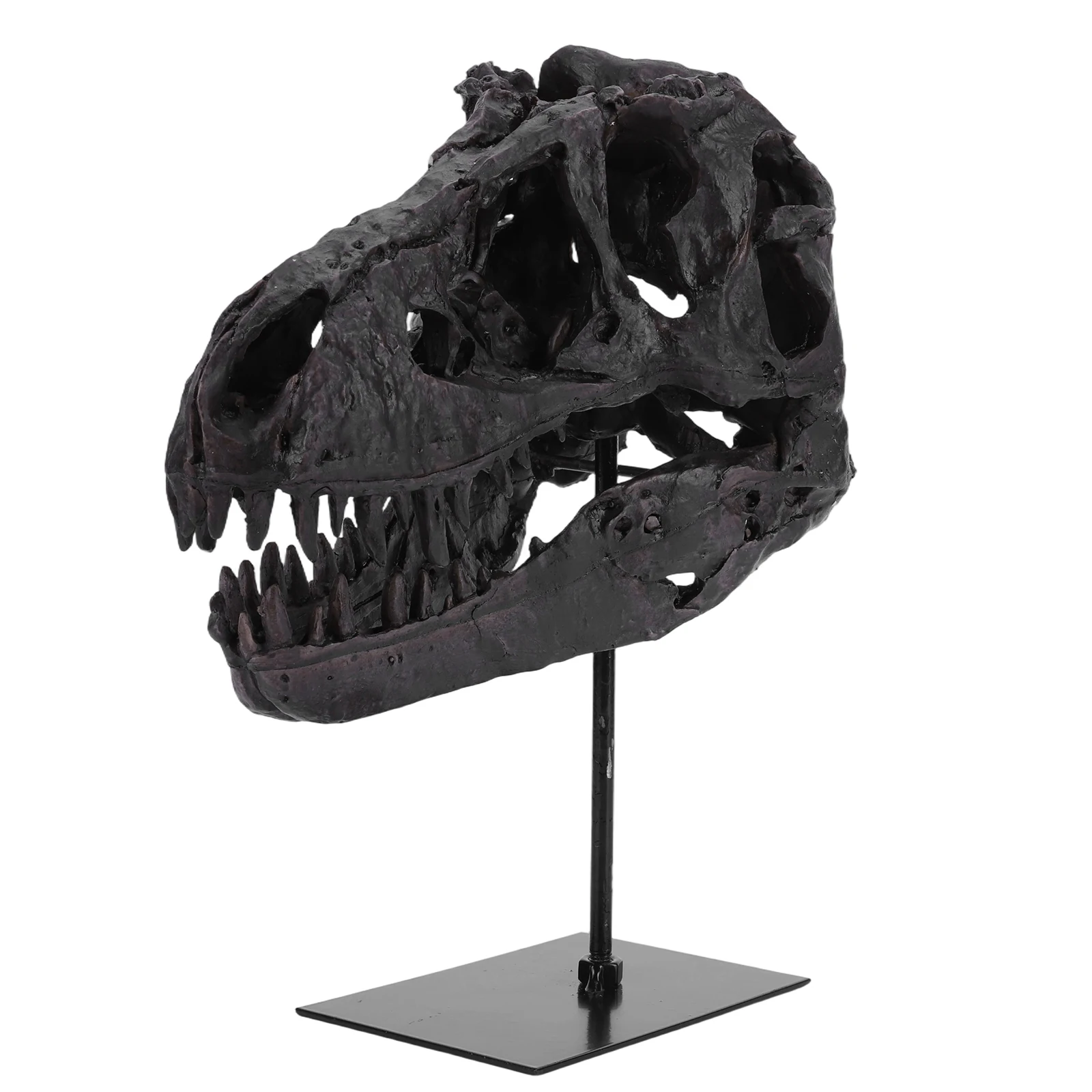 Dinosaur Fossil Figurine Resin Replica Head Sculptures with Bracket Skull Sculpt - Image 5
